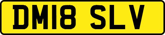 DM18SLV