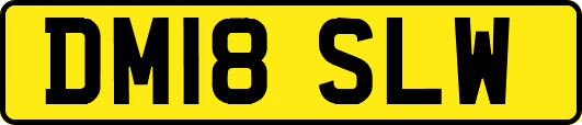 DM18SLW