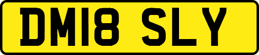 DM18SLY