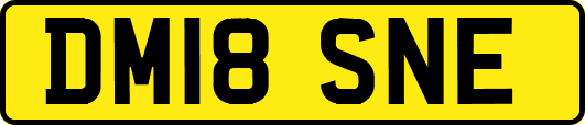 DM18SNE