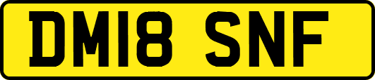DM18SNF