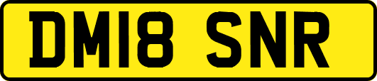 DM18SNR