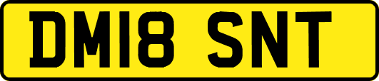 DM18SNT