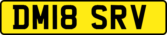 DM18SRV