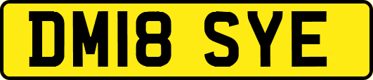 DM18SYE