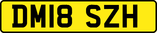 DM18SZH