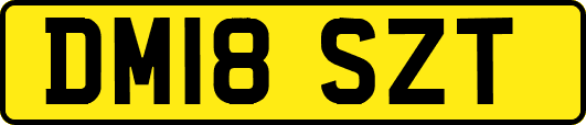 DM18SZT