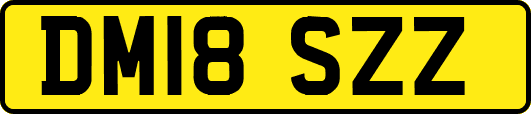 DM18SZZ