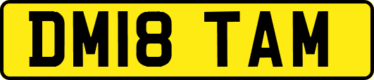 DM18TAM