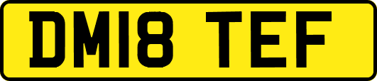 DM18TEF