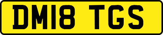 DM18TGS