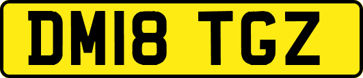 DM18TGZ