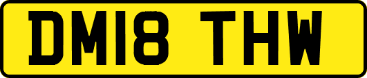 DM18THW