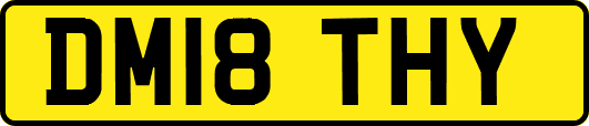 DM18THY