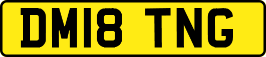 DM18TNG