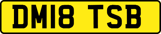DM18TSB