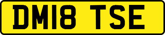 DM18TSE
