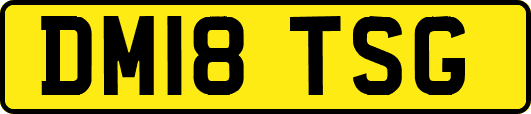 DM18TSG