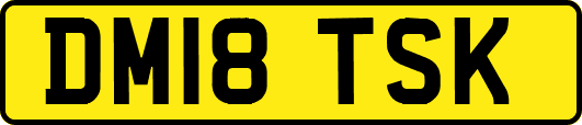 DM18TSK