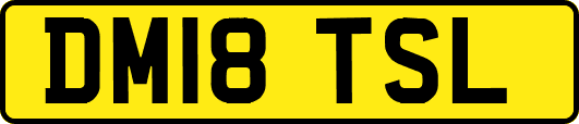 DM18TSL