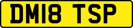 DM18TSP