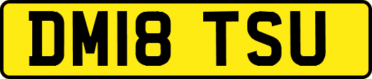DM18TSU