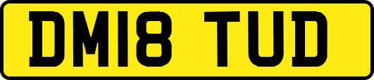 DM18TUD
