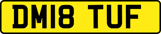 DM18TUF