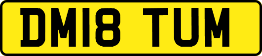 DM18TUM