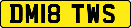 DM18TWS