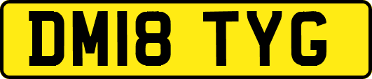 DM18TYG