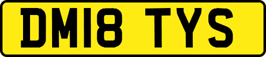 DM18TYS