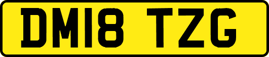 DM18TZG