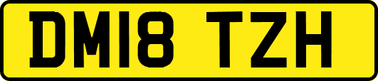 DM18TZH
