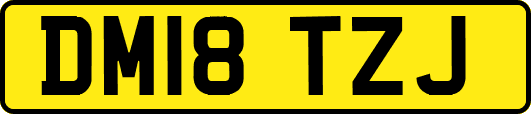 DM18TZJ