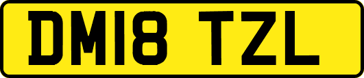 DM18TZL