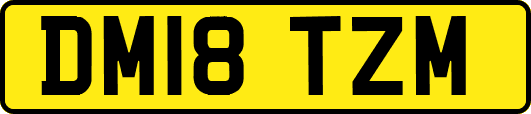 DM18TZM