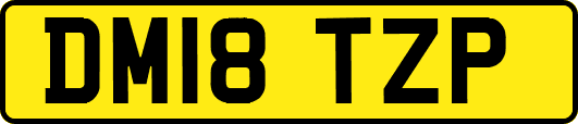 DM18TZP