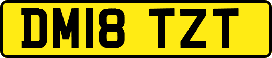DM18TZT