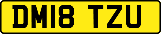 DM18TZU