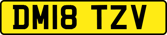 DM18TZV