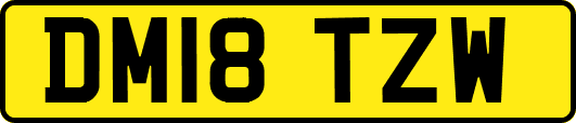 DM18TZW
