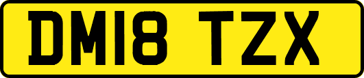 DM18TZX