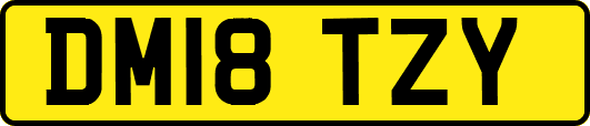 DM18TZY