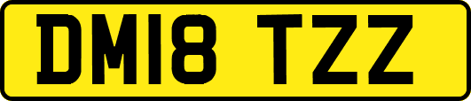 DM18TZZ