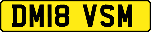 DM18VSM