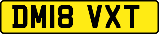 DM18VXT