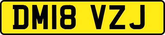 DM18VZJ