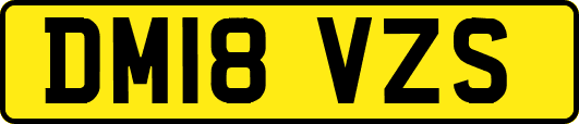 DM18VZS