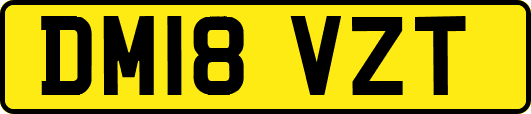 DM18VZT